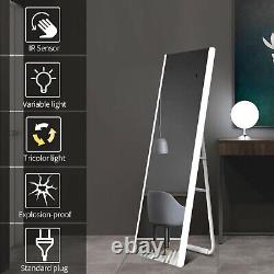 Full Length Mirror with LED Bedroom Dressing Mirror Floor Standing/Wall Mounted